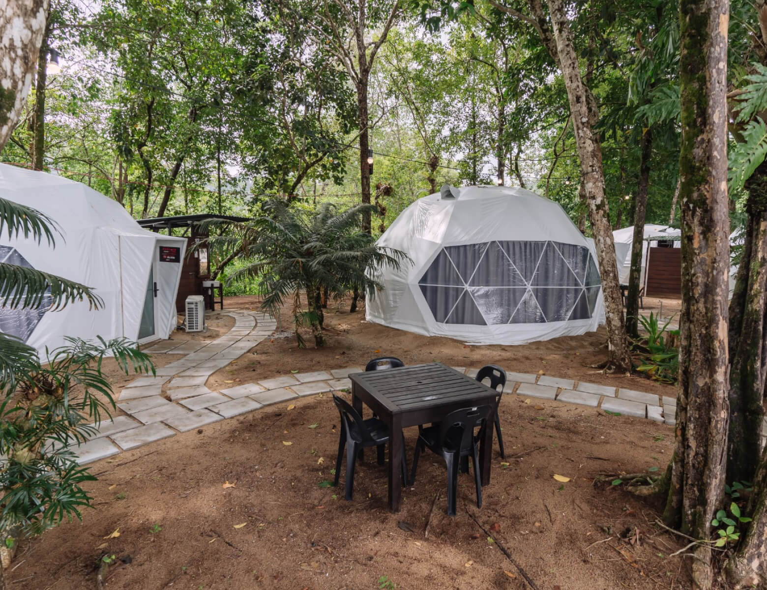 The Igloo – Beachside Glamping for Groups